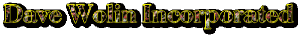 Dave Wolin Incorporated - E - Commerce Specialists Plus Web Development, Advertising, Public Relations and Marketing